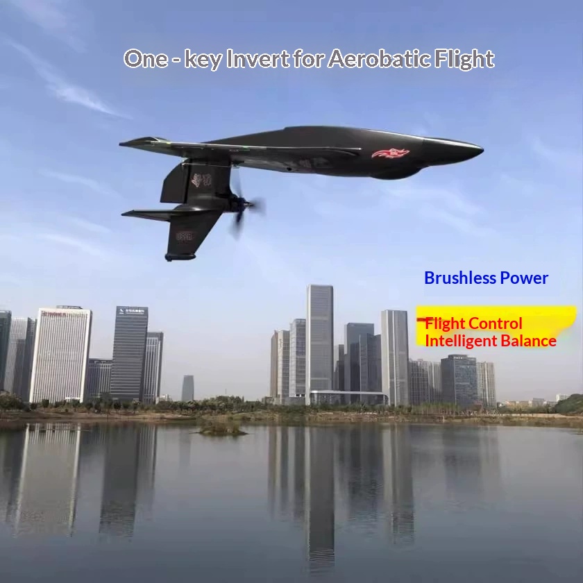 Rc Wing Glider - 6CH RC Aircraft H650 Raptor Brushless