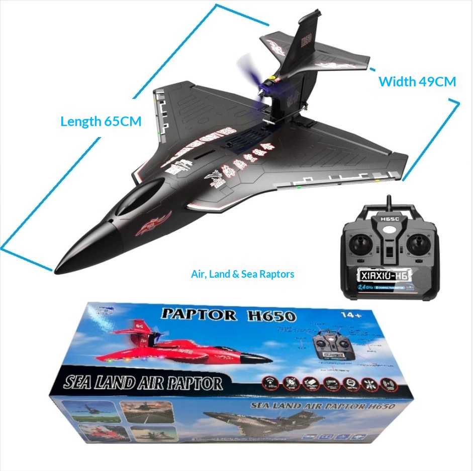 6CH RC Aircraft H650 Raptor Br - Rc Wing Glider ulasan dan harga